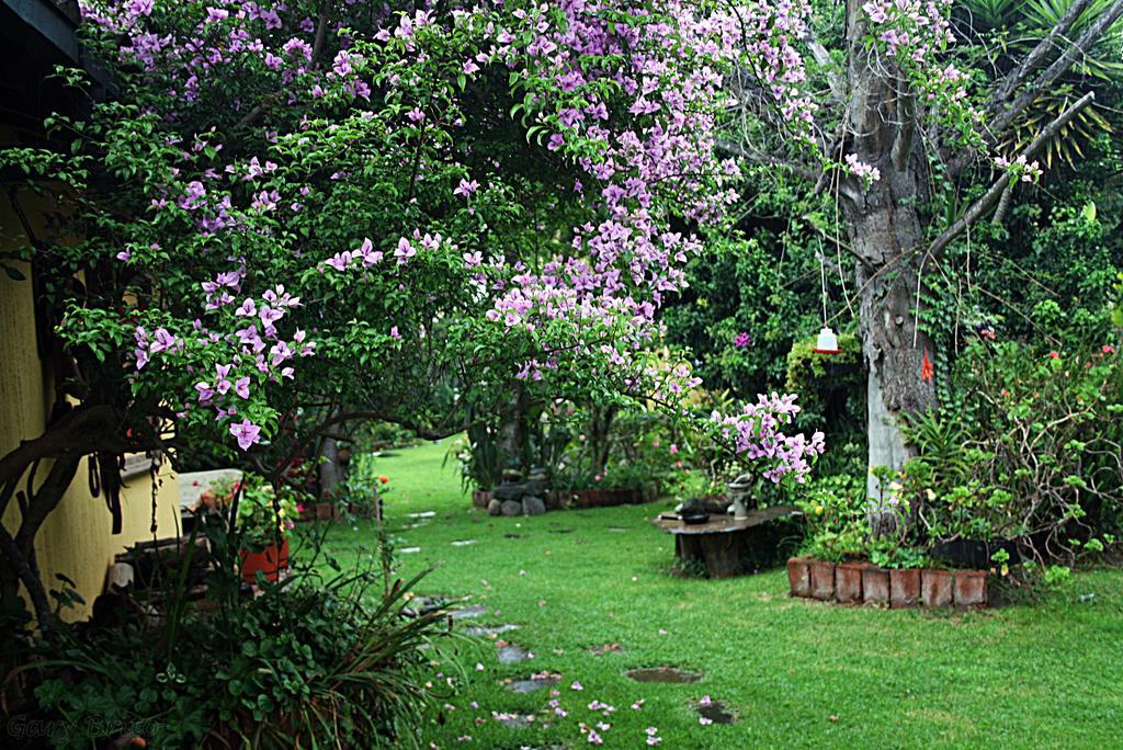 Hostal Saint Mary'S Tababela Exterior foto